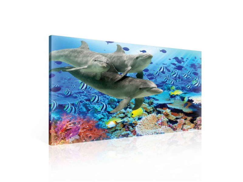 Dolphins Corals Ocean Underwater Canvastavla (PP116O1)